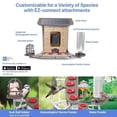 thumbnail image 3 of Feit Bird Genius Smart Feeder Wild Bird 2.5 L Plastic Bird Feeder 1 Ports, 3 of 9