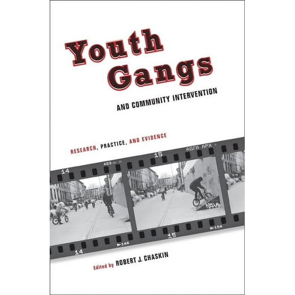 Youth Gangs and Community Intervention: Research, Practice, and Evidence, (Paperback)
