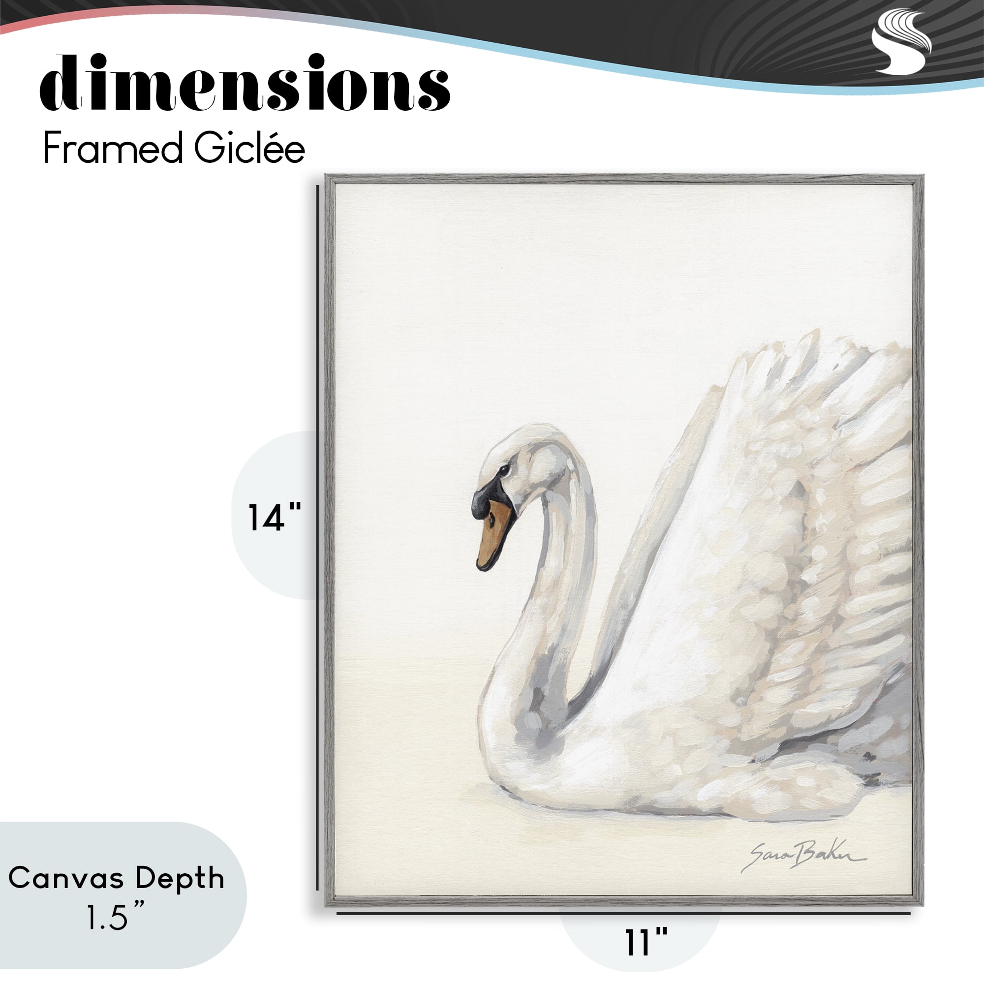 Stupell Industries White Swan in Repose Gray Framed Giclee Art, design by Sara Baker
