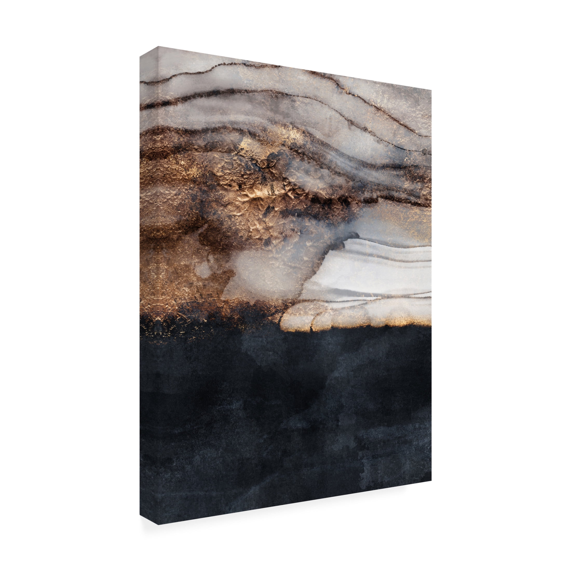 Trademark Fine Art Elisabeth Fredriksson  Incoming Storm Canvas Wall Art