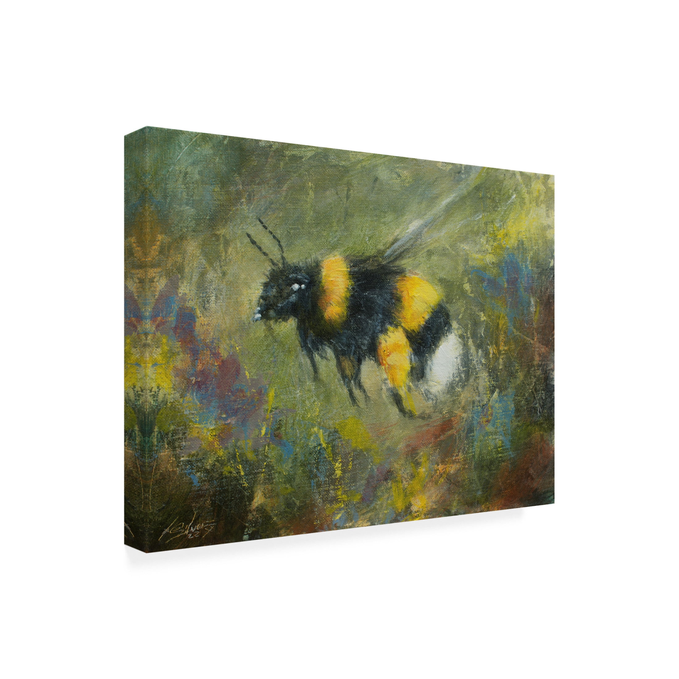 Canvas Wall Art - John Silver 'Bumblebee 3' Wall Art for Living Room, Bedroom, or Office Décor by Trademark Fine Art - 47 x 35 Inches