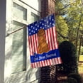 thumbnail image 2 of Carolines Treasures BB3077CHF Patriotic USA Briard Brown Flag Canvas House Size, 2 of 4