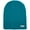 Cyan, variant on Unisex NEFF Daily Beanie