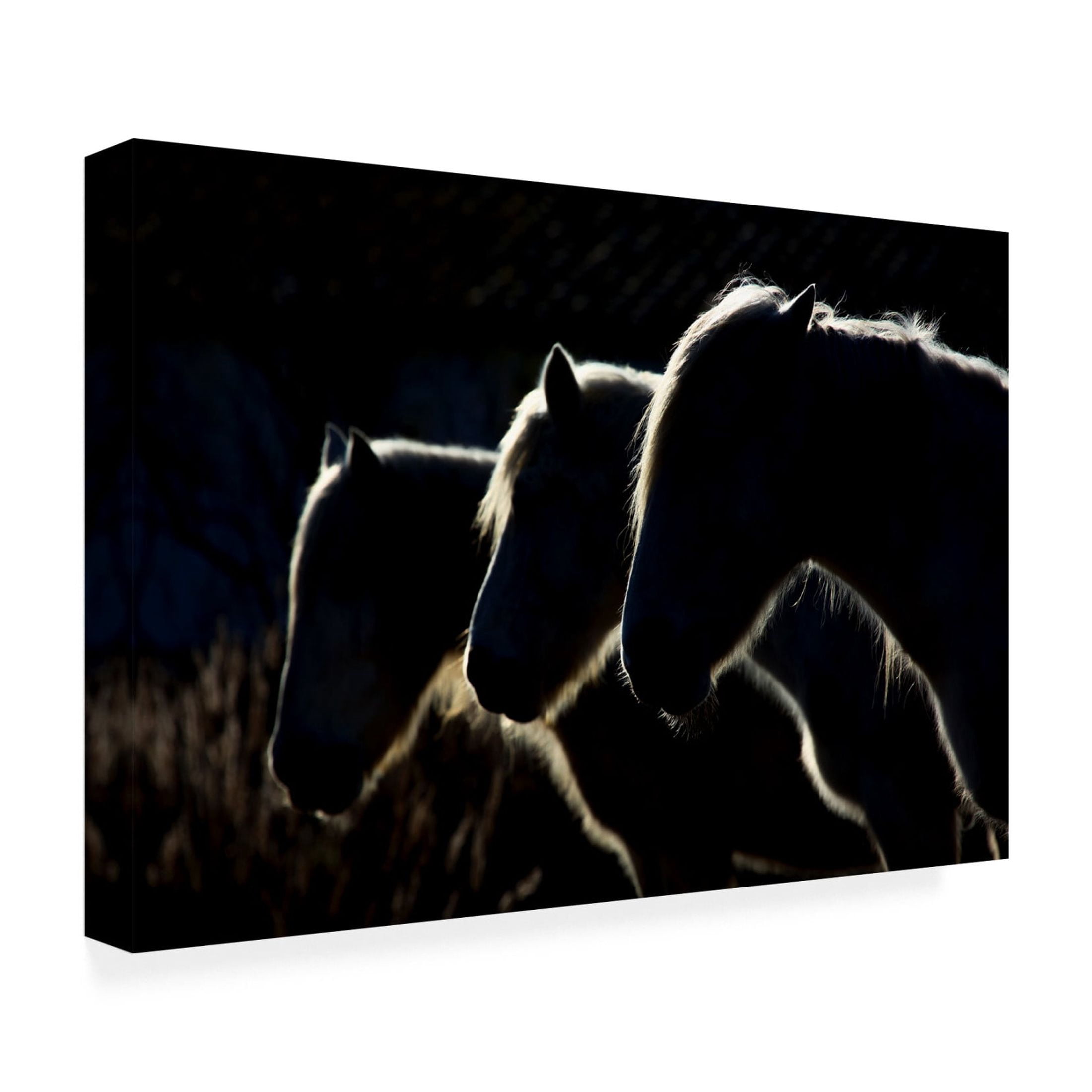Canvas Wall Art - Michel Romaggi 'Horses Colored Version ' Wall Art for Living Room, Bedroom, or Office Décor by Trademark Fine Art - 32 x 22 Inches