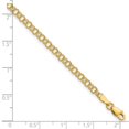 thumbnail image 2 of 10k Yellow Gold 3.5mm Solid Double Link Charm Bracelet Link Charm Bracelet for Women - 2.3 Grams, 2 of 2