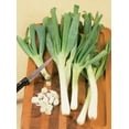 thumbnail image 3 of (2 pack) "Bonnie Plants 10"" Green Leeks Live Plant", 3 of 7