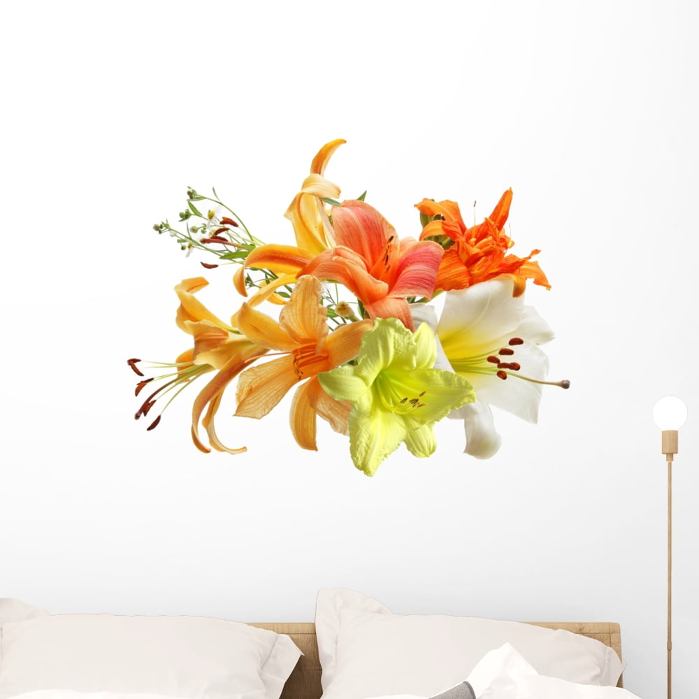Lily and Daylily Wall Mural by Wallmonkeys Peel and Stick Graphic (36