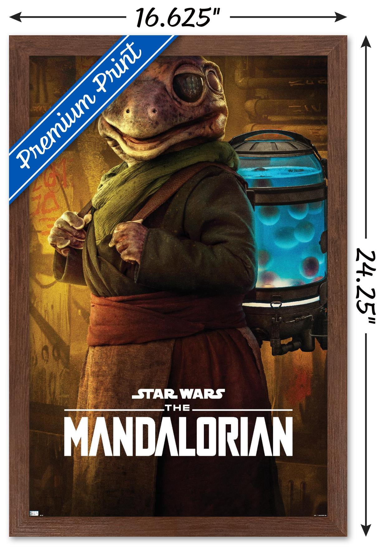 Star Wars: The Mandalorian Season 2 - Frog Lady Wall Poster, 14.725" x 22.375", Framed