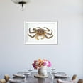 thumbnail image 4 of Red King Crab, Animals Scenic Framed Art Print Wall Art by David Nunuk Sold by Art.Com, 4 of 6