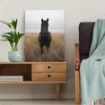 thumbnail image 5 of Qisvanset 12x16 Inch 2D Flat Framed Canvas Art, Majestic Black Horse Rustic Farmhouse Western Nature Landscape Wall Art, 5 of 5