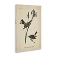 thumbnail image 3 of Stupell Industries Cottage Vintage Warbler Study Canvas Art, 16 x 24, by Wild Apple Portfolio, 3 of 8
