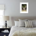 thumbnail image 6 of Mule Deer Buck, Animals Botanical Scenic Framed Art Print Wall Art Sold by Art.Com, 6 of 6