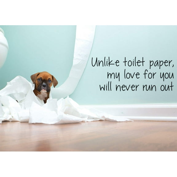 Unlike toilet paper, my love for you will never run out Valentine's Greeting Card