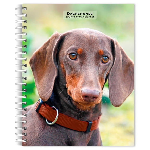 Dachshunds | 2027 6x7.75" Spiral-Bound Wire-O Engagement Planner