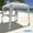 Brown Leaves, variant on Beach Cabana Canopy Shelter – Sun Shade Tent – 6’ X 6’ - UPF 50+ - Waterproof - Easy Setup – 2 Layer Wind Vent Umbrella – 6 Ft X 6 Ft – Bonus sidewall – Beach, Lake, Park for Family - 2 to 4 People