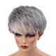 thumbnail image 1 of Peluca corta para mujer Color gris y , Cabello natural Postizos Pelucas pulgadas, de cosplay Ropa Resistente al calo Yinane Peluca de pelo de mujer, 1 of 8