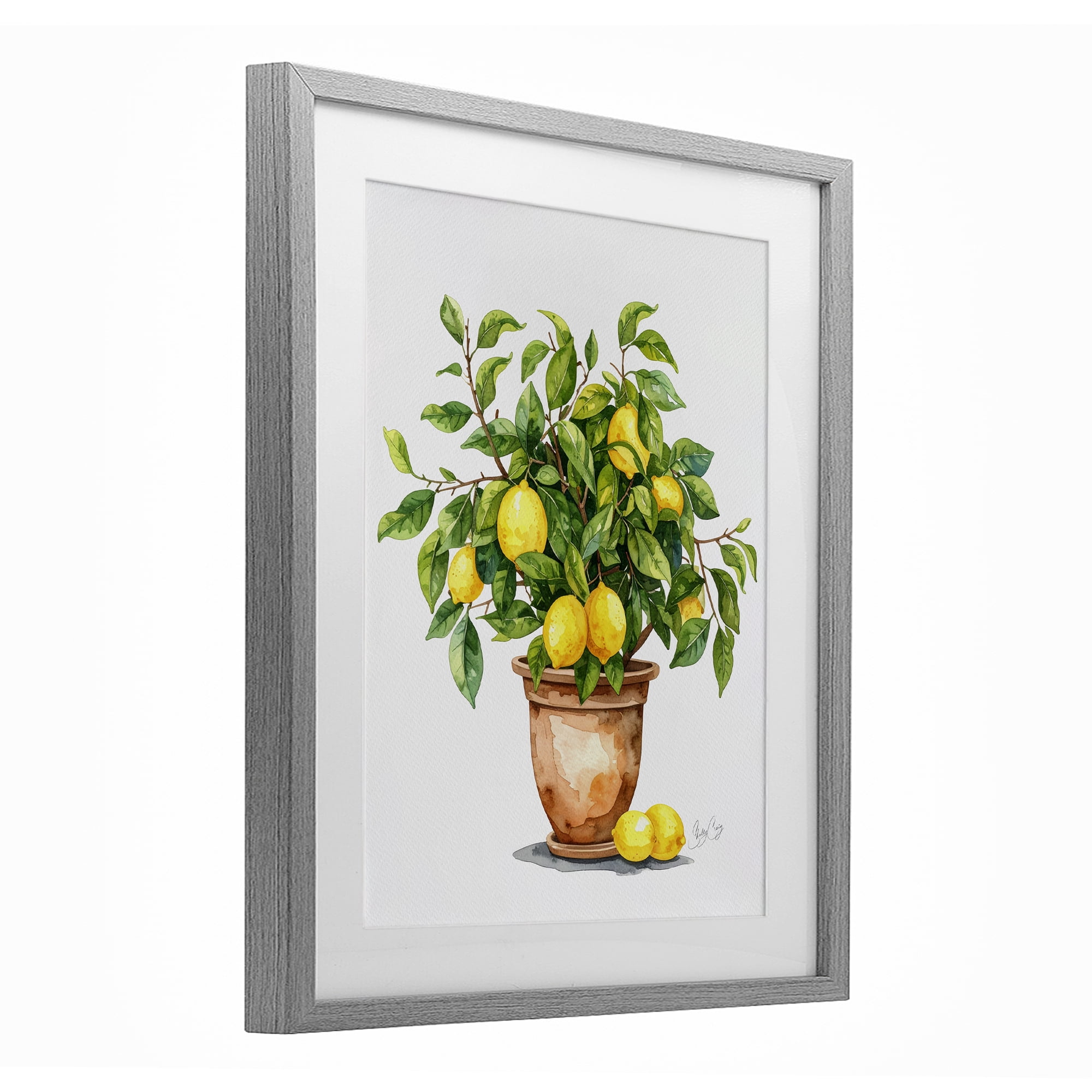 Stupell Industries Potted Lemon Tree Gray Framed Print Under Glass, design by Shelly Craig
