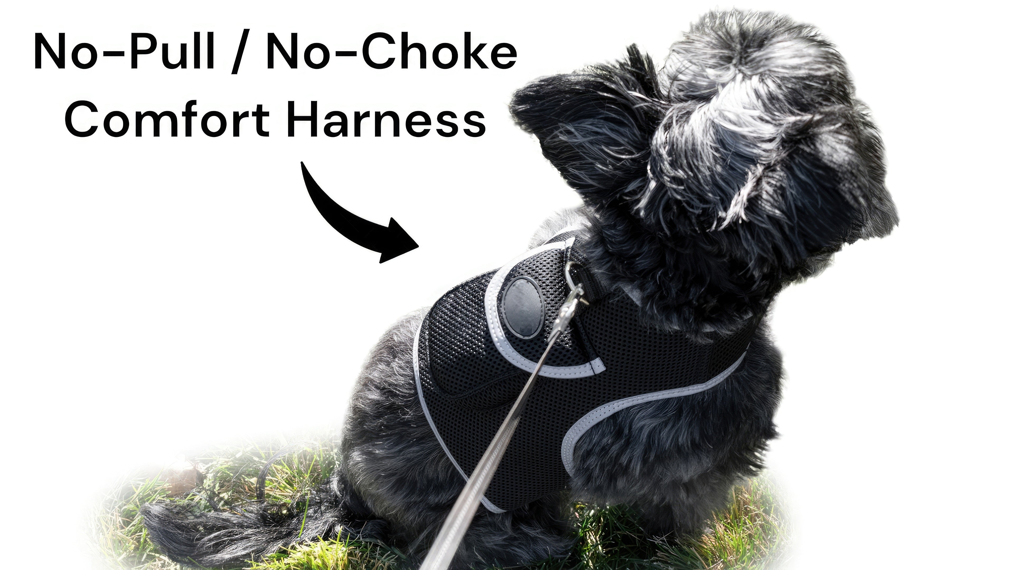 Realtime GSM GPS Dog/Cat Pet Tracking System Waterproof Collar Tracker Size:XS