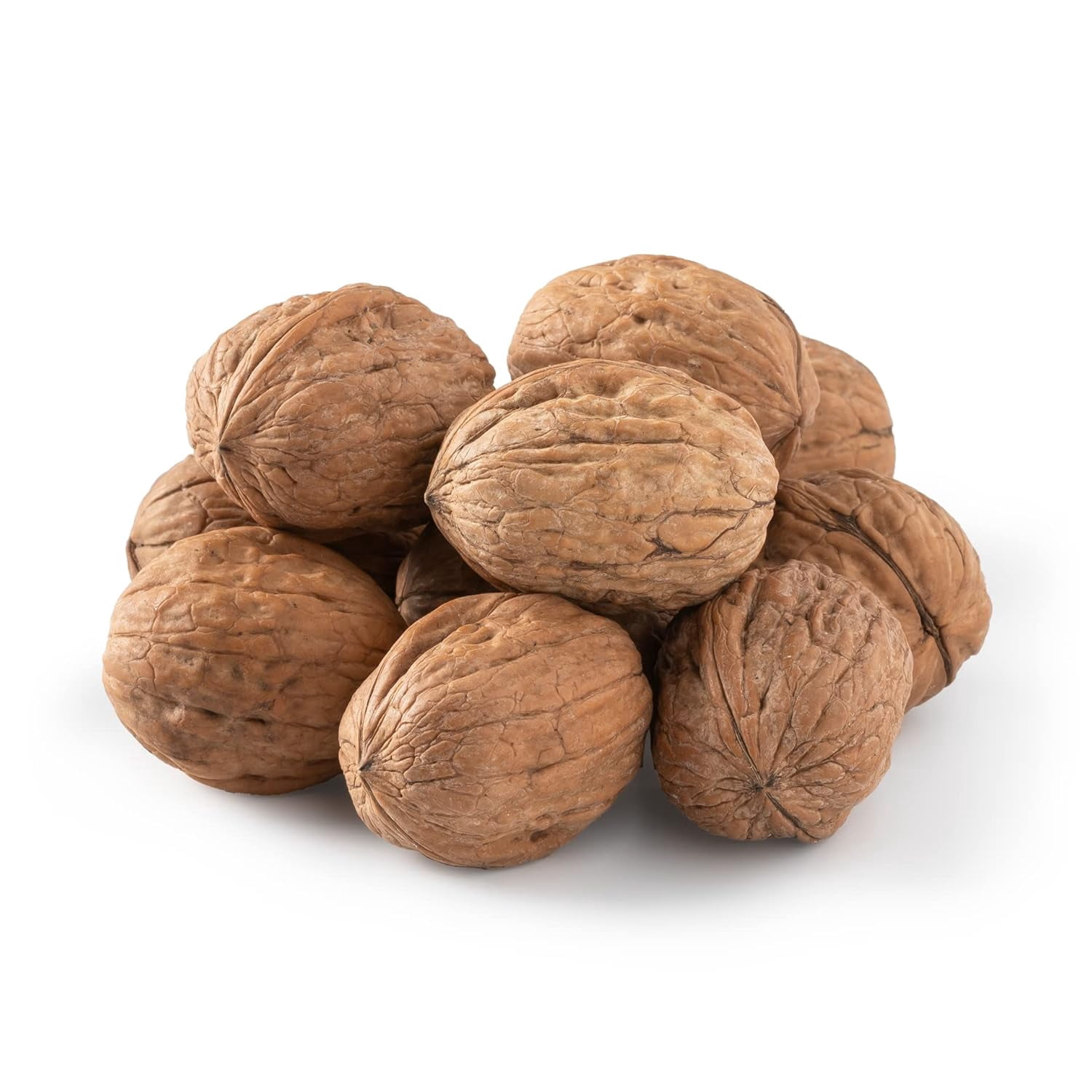 Jumbo Walnuts - In the Shell all  Natural - 3 lb - nuts n more