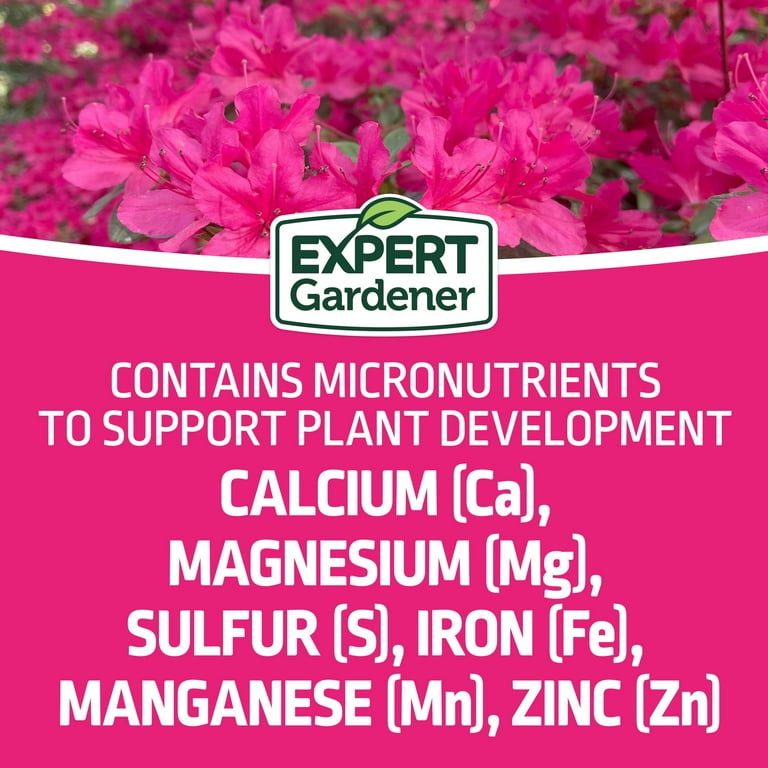 Expert Gardener Azalea Camellia Rhododendron Plant Food Fertilizer 10-8-8 4  lb Time-Release - Walmart.com