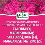Expert Gardener Azalea, Camellia & Rhododendron Plant Food Fertilizer 10-8-8, 4 lb.