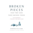 thumbnail image 1 of Pre-Owned Broken Pieces and the God Who Mends Them: Schizophrenia Through a Mother's Eyes (Paperback) 1629953962 9781629953960, 1 of 1