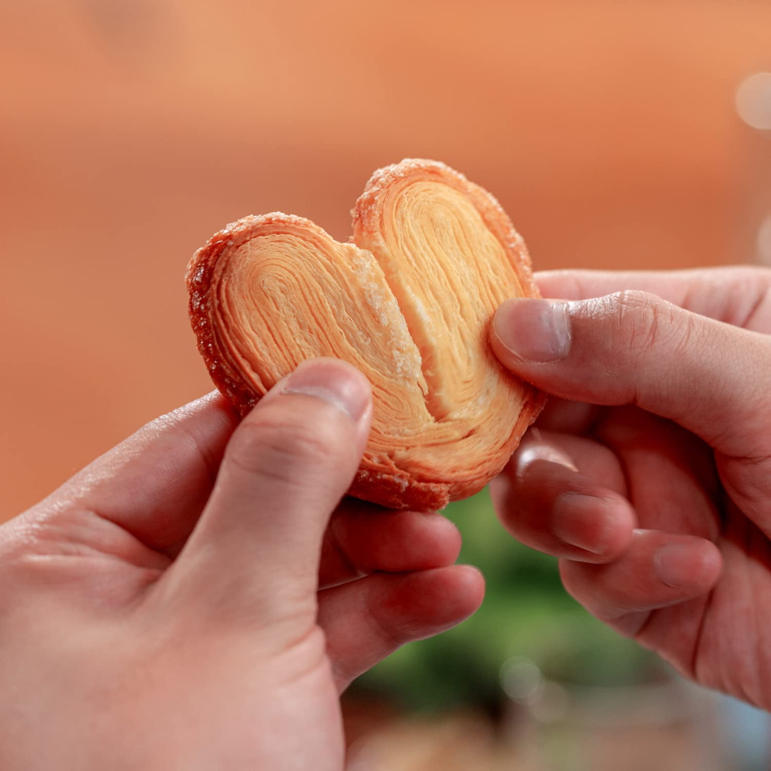 EL PALMIER BISCT