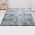 thumbnail image 6 of Vacemry Under $5 Soft Area Rug, Modern Indoor Rug for Living Room Bedroom Decor, Non-Slip Rectangular Carpet for Home, Plush Washable Rug for Floor Comfort, 6 of 8