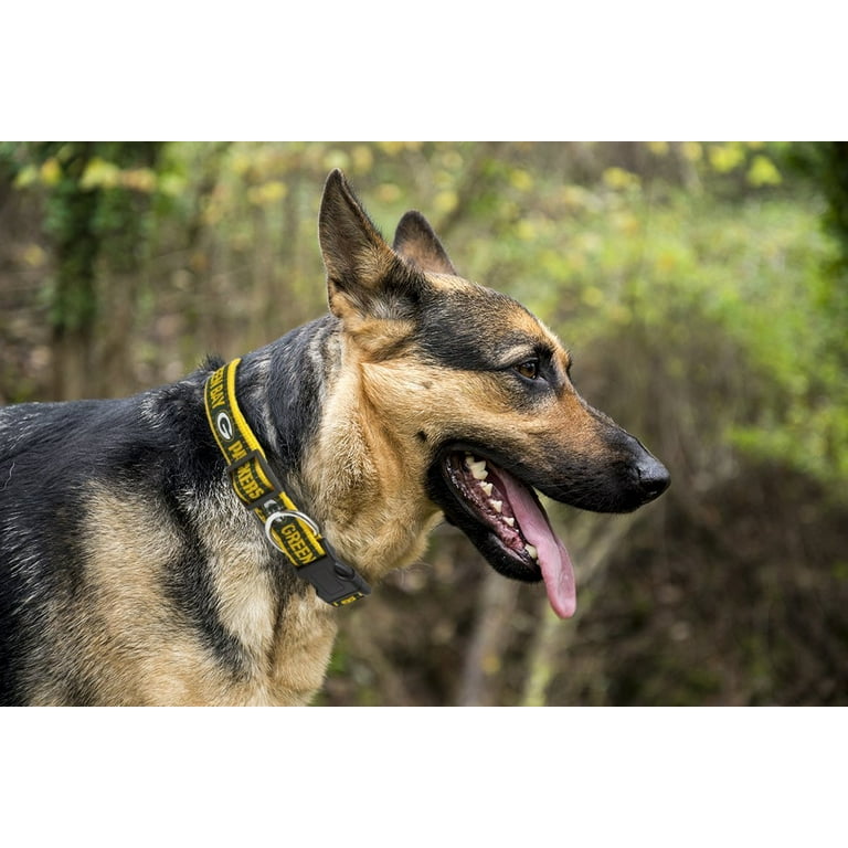Pets First NFL Green Bay Packers Dog Collar Heavy Duty Durable