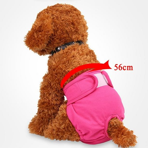 Yinanstore Female Dog Bitch Reuseable Menstrual Sanitary Nappy Diapers Pads Pants Underwear S M L Waist 30 56cm 12 22 Green L