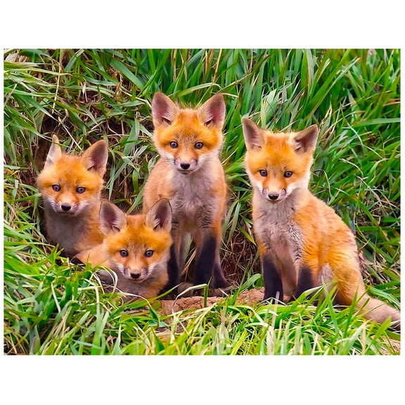 Springbok's Fox Pups Den 60 Piece Jigsaw Therapy Puzzle for Alzheimer's and Dementia Patients