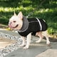 thumbnail image 5 of Dog Clothes Winter Waterproof Outdoor Pet Dog Jacket Thicken Warm Dog Coat for Small Medium Large Dog Adjustable Pet Clothes 3XL ShopWise Round, 5 of 9