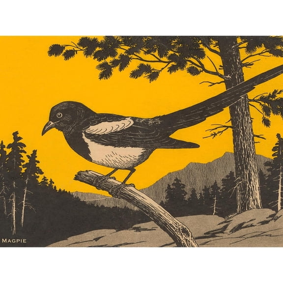 Art.com Woodcut of Magpie Art Print, 16" x 12"