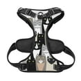 thumbnail image 5 of Lsque Colors Cats Dog Harness, No-Pull Pet Harness with 2 Leash Clips, Adjustable Soft Padded Dog Vest with Easy Control Handle for Large Dogs-, 5 of 9