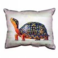 thumbnail image 1 of Betsy Drake ZP491 Happy Turtle Extra Large Zippered Pillow - 20 x 24 in., 1 of 1