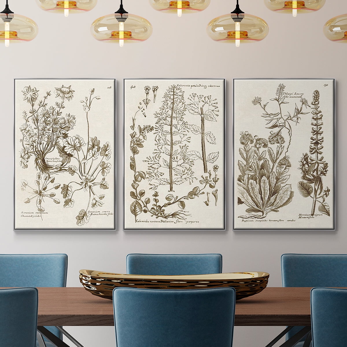 Sepia Botanical Journal IV - Framed Premium Gallery Wrapped Canvas L Frame 3 Piece Set - Ready to Hang