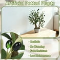 thumbnail image 7 of Small Artificial Olive Bonsai Tree Decor 18.5'' Tall Faux Olive Tree Potted Plant Desk Display with Bonsai Pot Decorative Greenery Realistic Wood for Home Office Countertop Kitchen Table Decor, 7 of 7