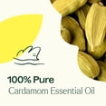 thumbnail image 5 of Plant Therapy Cardamom Essential Oil 5 mL (1/6 oz) 100% Pure, Undiluted, 5 of 6
