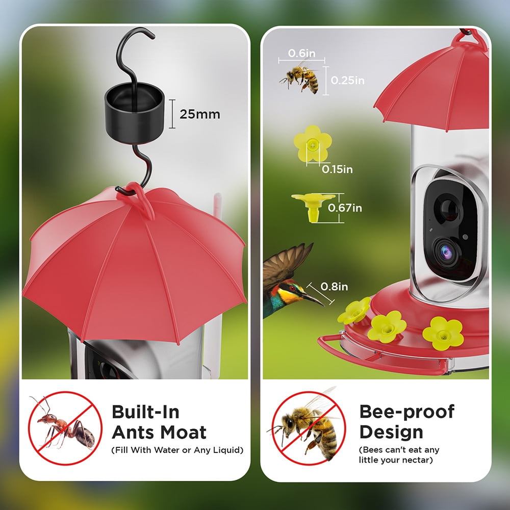 Smart Hummingbird Feeder with Camera Solar Powered Wireless Outdoors Bird Feeder with Ant Moat