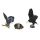 thumbnail image 4 of Figura de águila realista BuyWeekMX simulada decoración de la Mesa del hogar, 4 of 9