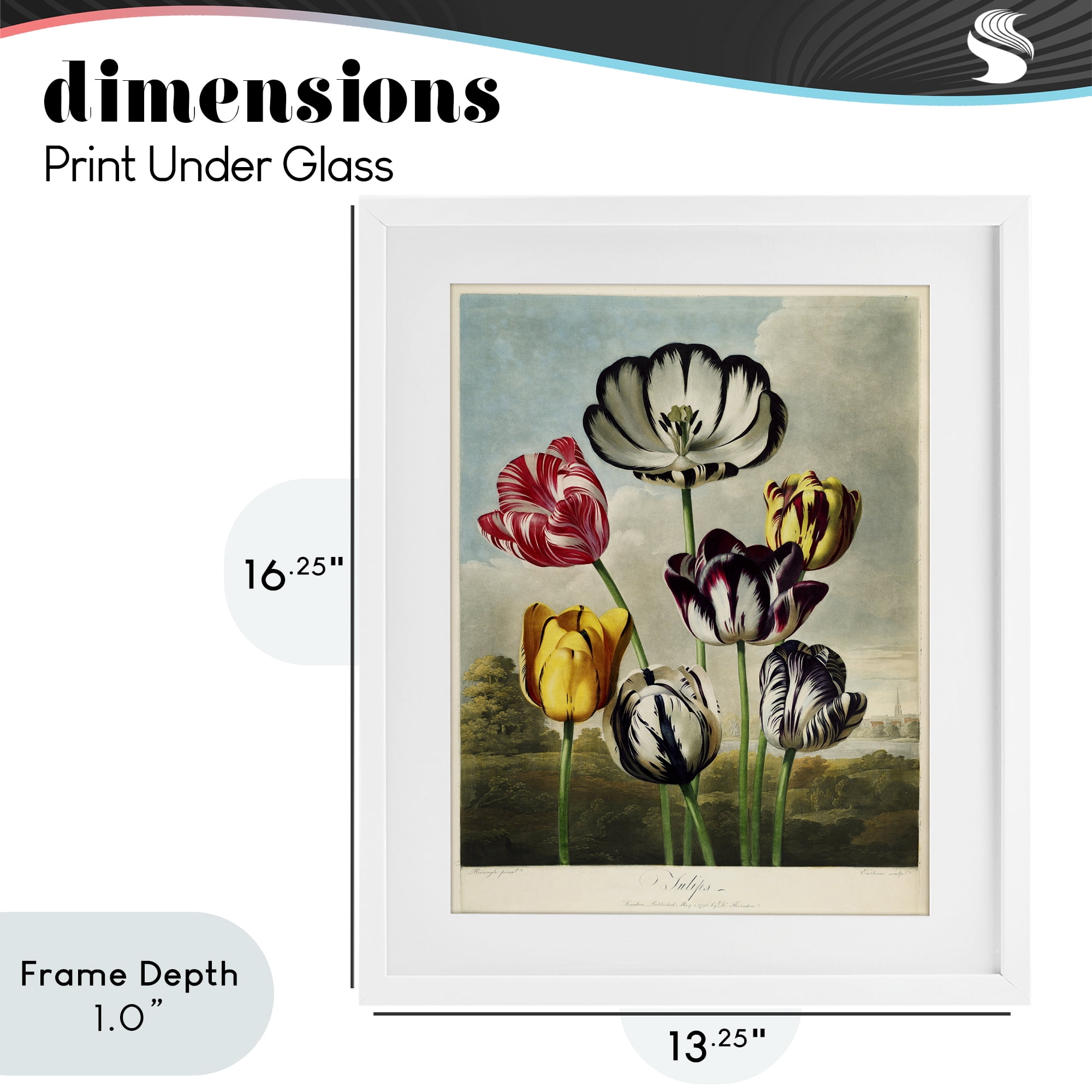 Stupell Industries Tulips From The Temple White Framed Print Under Glass, design by Print Collection