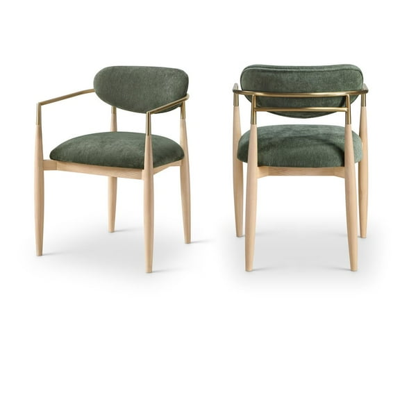 Meridian Furniture Riccio Olive Performance Fabric Dining Arm Chair (Set of 2)