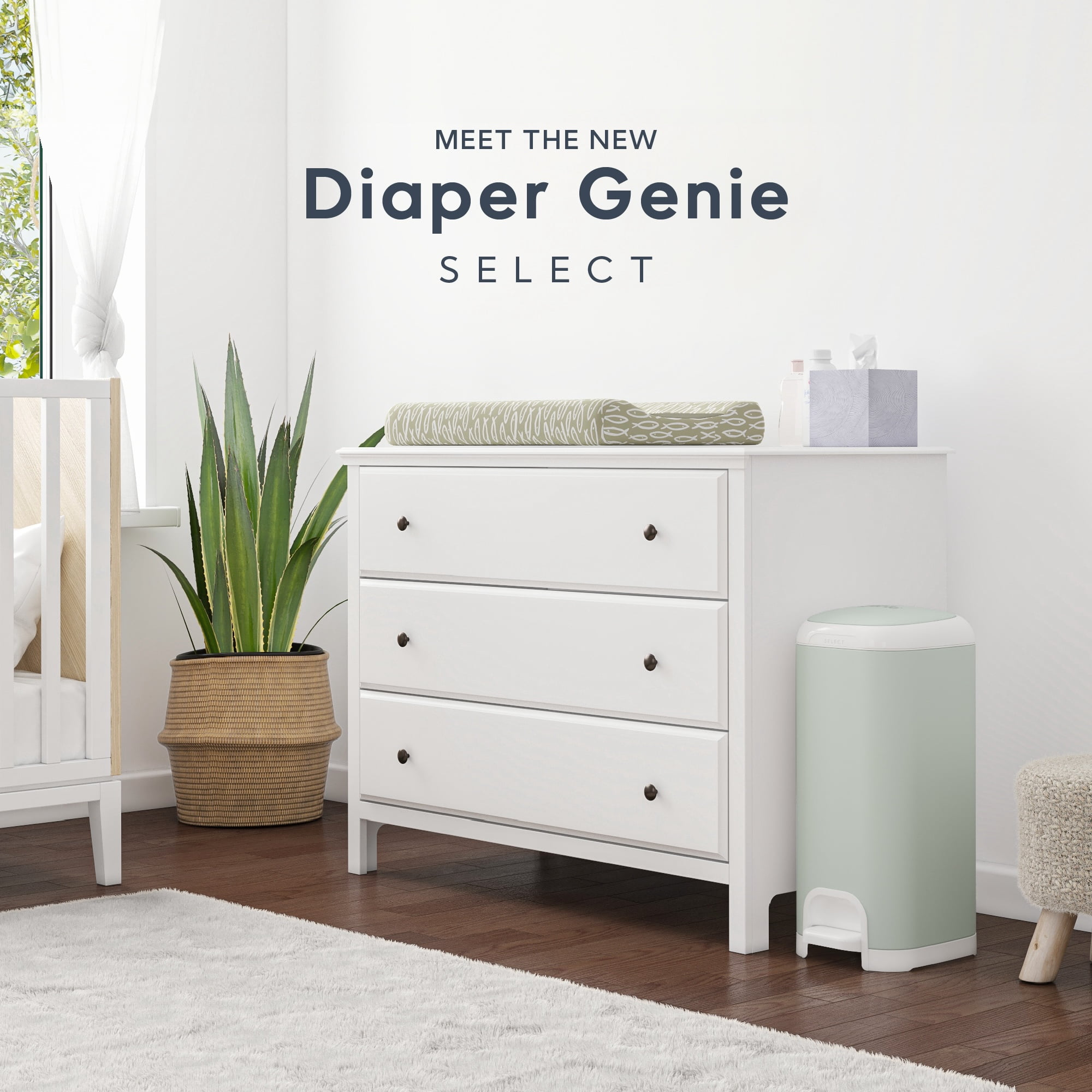 Diaper Genie Select Pail, Green,Stainless Steel, 1 Diaper Pail,1 Square Refill-165 Count, Infant