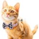 thumbnail image 3 of Juego de 2 collares para gatos con bonita pajarita y cascabel para gatitos y algunos cachorros, ajustable de 7,8 a 10,5 pulgadas (rojo + rosa) Feliz Sencillez, 3 of 5