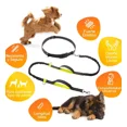 thumbnail image 2 of Correas Perros Elástica Manos Libres Nylon P/ Entrenamiento, 2 of 8