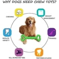 thumbnail image 3 of 2 Pcs Jouets à Mâcher pour Chiens Verts Jouet en Forme de Chien en Caoutchouc Résistant avec Design Convexe Jouet Interactif Solide pour Mâcheurs Agressifs Petit et, 3 of 5