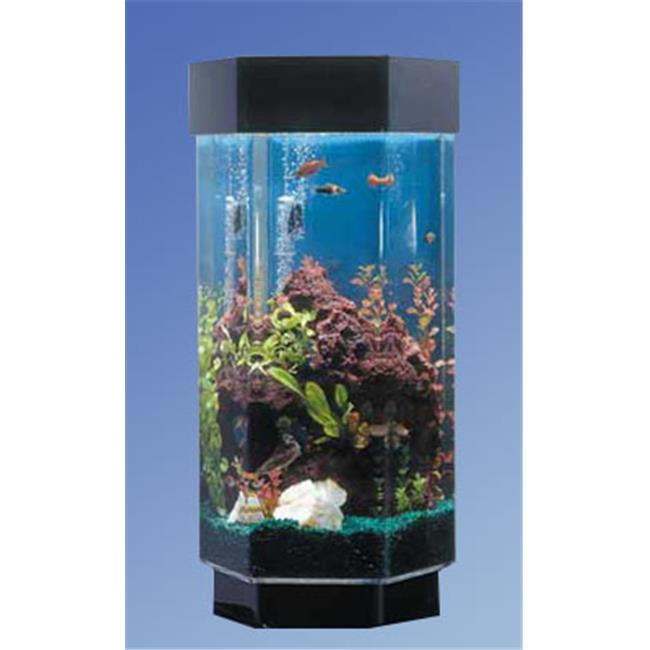 large octagon fish tank