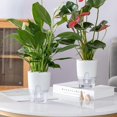thumbnail image 2 of Flower Pot Self Watering, Set Of 3 Herb Pots With Irrigation System, Flower Pot Plastic Herb Pot Kitchen Set, Self Watering Flower Pots Plant Pot For, 2 of 4