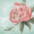 thumbnail image 2 of Pinto, Patricia 26x26 White Modern Wood Framed Museum Art Print Titled - Pink Peonies II, 2 of 4