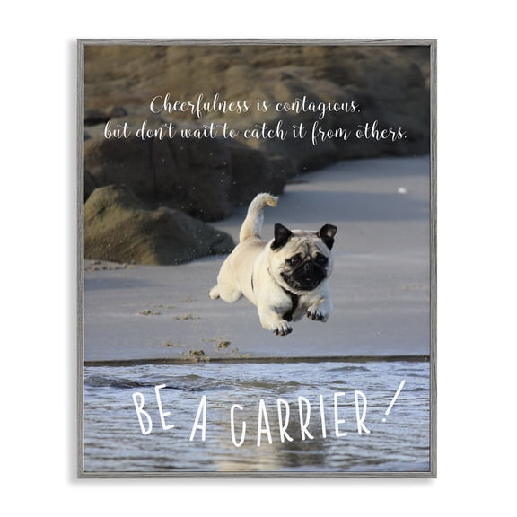 Stupell Industries Tropical Cheerfullness is Contagious Dog Gray Framed Giclee Art, 16 x 20, by Ziwei Li